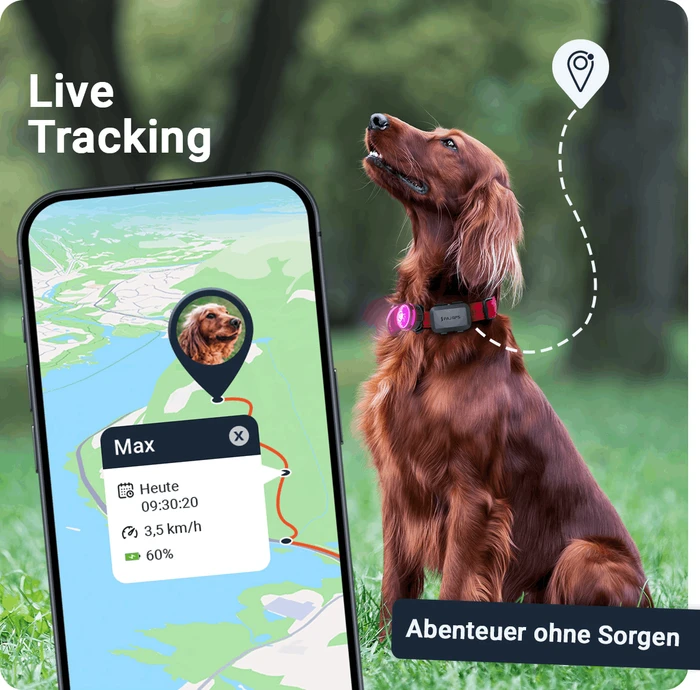 PAJ GPS PET Finder 4G Mini, GPS Tracker für Hunde, schwarz
