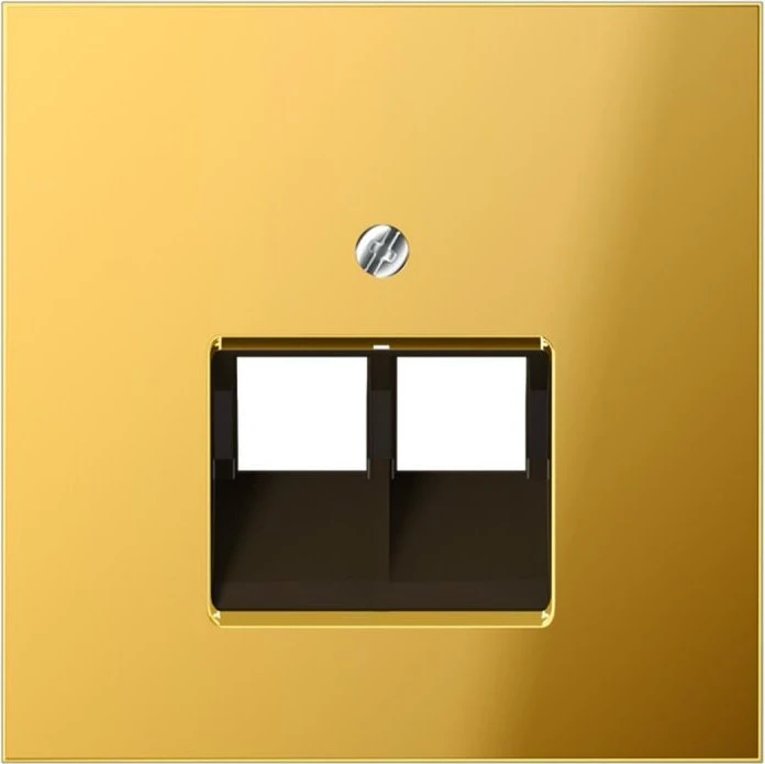 Jung Serie LS Abdeckung für IAE/UAE-Anschlussdosen 2 x 8-polig, goldfarben