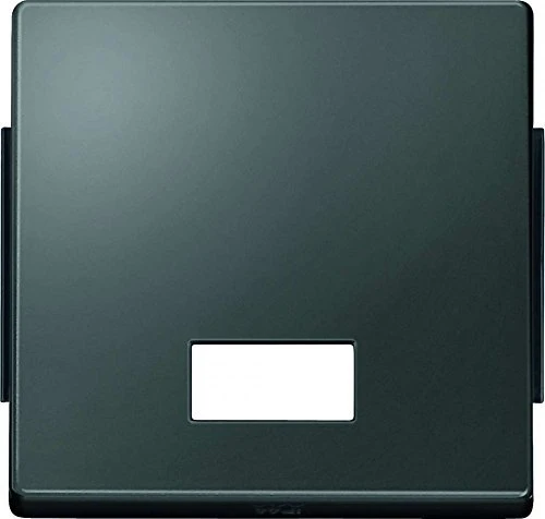 Merten Kontrollwippe 343814 | anthrazit | Aquadesign | Kunststoff | glänzend | IP44 | Symbolfenster Image