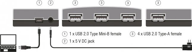 DeLOCK USB-Hub, 4x USB-A 2.0, USB 2.0 Mini-B [Buchse]