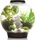 Oase biOrb Classic 15 LED Aquarium-Set, schwarz, 15l (71999)