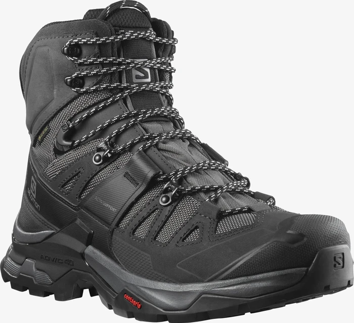 Salomon Quest 4 GTX magnet/black/quarry (Herren)