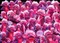 Ravensburger Puzzle Challenge Monsterchen Vorschaubild