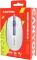 Canyon M-10 Wired Mouse, weiß/violett, USB Vorschaubild