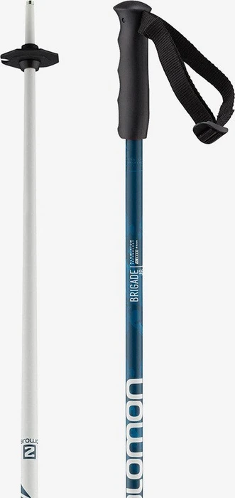Salomon Brigade Alpin Skistock blau (Junior) (Modell 2019/2020)