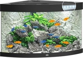 Juwel Trigon 190 LED Aquarium-Set, schwarz, 190l