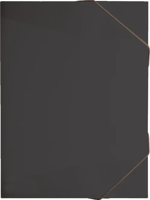 Brunnen FACT!pp Sammelbox für Hefte, A4, onyx/transparent