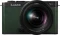 Panasonic Lumix DC-S9 grün mit Objektiv Lumix S 20-60mm 3.5-5.6 Vorschaubild