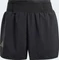 adidas Terrex Experior Clima365 Laufhose kurz schwarz (Damen) Vorschaubild