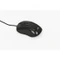 Esperanza Titanum Hornet schwarz, USB Vorschaubild