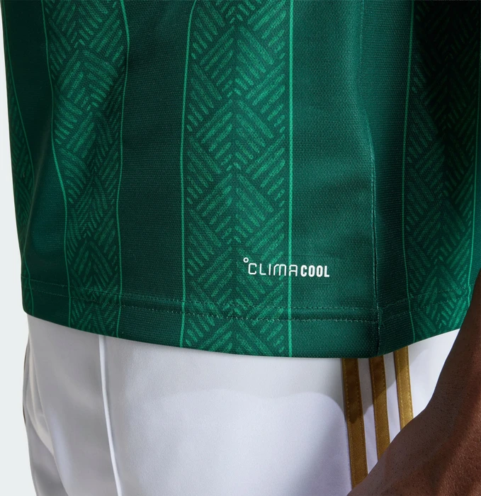 adidas FIFA WM 2026 Südafrika Auswärtstrikot kurzarm team dark green/team green (Herren)