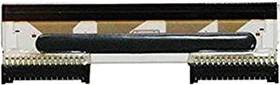 Zebra Druckkopf TLP2824 203pi