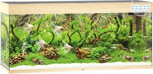 Juwel Rio 240 LED Aquarium-Set, helles Holz, 240l