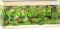 Juwel Rio 240 LED Aquarium Vorschaubild