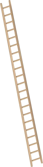Layher Topic 1036 Holz Anlegeleiter, 21 Stufen
