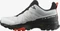 Salomon X Ultra 4 GTX lunar rock/black/cherry tomato (Herren) Vorschaubild
