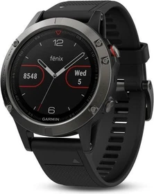 Garmin Fenix 5 grau/schwarz