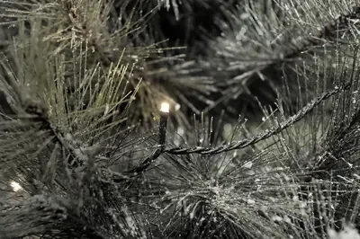 Konstsmide Micro Lichterkette schwarz LED 1000x warmweiß