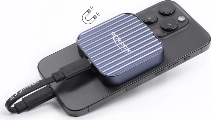 DeLOCK Externes magnetisches Gehäuse für M.2 PCIe/SATA SSD, USB-C 3.1