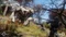 Fallout 76 (Download) (PC) Vorschaubild