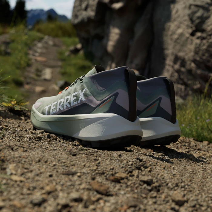 adidas Terrex Agravic GTX Trail silver green/cloud white/preloved fig (Damen)