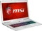 MSI GS70 2QE16SR51S Stealth Pro Silver Edition, Core i7-4720HQ, 16GB RAM, 512GB SSD, 1TB HDD, GeForce GTX 970M, DE Vorschaubild