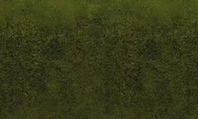 Noch Grasmatte Wiese 200x100cm
