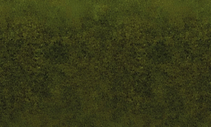 Noch Grasmatte Wiese 200x100cm