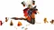 LEGO Ninjago - Feuerschlange Vorschaubild