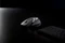 Rapoo MT760M Wireless Multi-mode Mouse schwarz/grau, USB/Bluetooth Vorschaubild