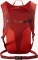 Salomon Trailblazer 10 red dahlia/high risk red Vorschaubild