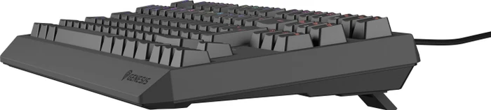Genesis Thor 230 TKL, Anchor Gray Negative, LEDs RGB, hot-swap, Outemu Red, USB, CZ/SK