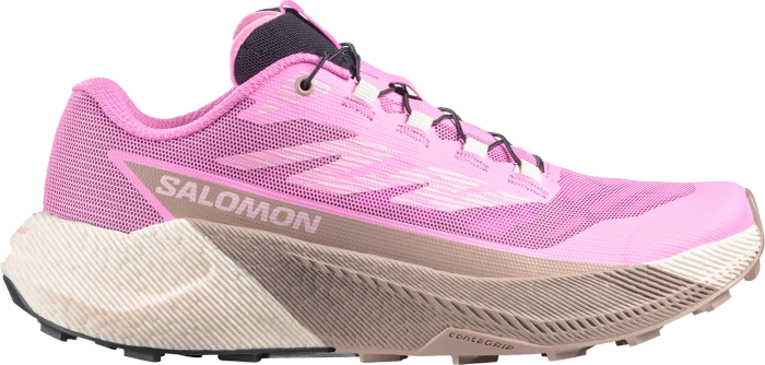 Salomon Pulsar Trail shadow gray/deep blue/butterfly (Damen)