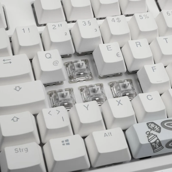 Ducky One 2 RGB TKL PBT, LEDs RGB, weiß, MX SPEED RGB Silver, USB, DE