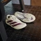 adidas Adizero Dropset Pro warm vanilla/maroon (Damen) Vorschaubild