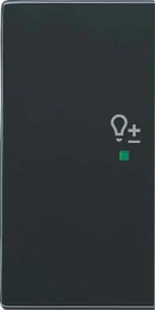 Busch-Jaeger Wippe 2-fach mit Symbol "Dimmer", anthrazit