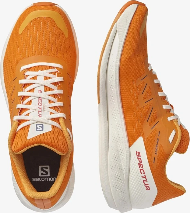 Salomon Spectur vibrant orange/blaze orange/astral aura (Herren)