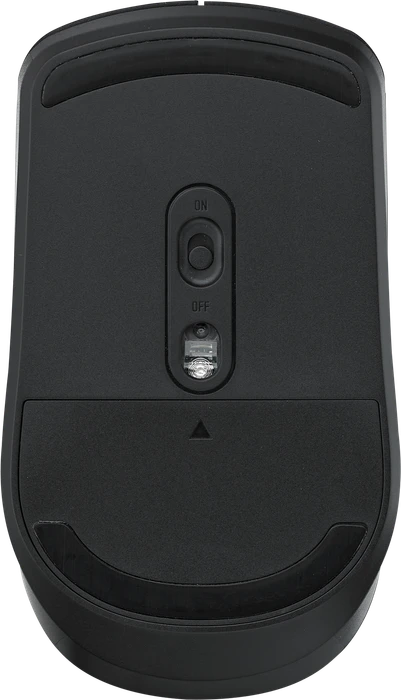 Rapoo M20 Plus Silent schwarz, USB