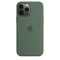 Apple Silikon Case mit MagSafe für iPhone 13 Pro Max Eukalyptus Vorschaubild