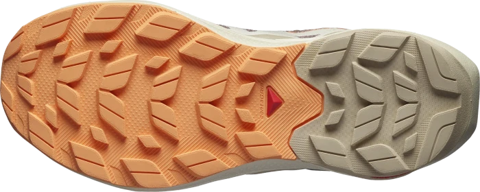 Salomon Elixir Activ Low GTX falcon/white pepper/papaya (Damen)
