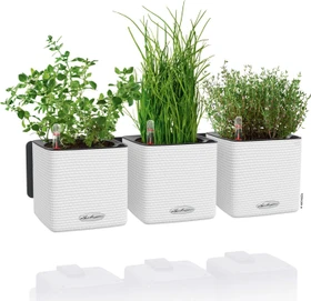 Lechuza Green Wall Home Kit Color Blumentopf-Set weiß, 3 Stück