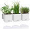 Lechuza Green Wall Home Kit Glossy Blumentopf-Set Vorschaubild