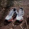 adidas Terrex Soulstride Flow dash grey/carbon/semi impact orange (Herren) Vorschaubild