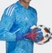 adidas Predator Pro Torwarthandschuhe hi-res blue/turbo/white Vorschaubild