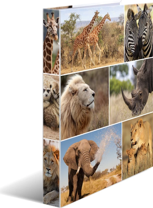 Herma 4D Ringbuch 4-Ring, 30mm, A4, Motiv Afrika Tiere