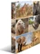 Herma 4D Ringbuch 4-Ring, 30mm, A4, Motiv Afrika Tiere Vorschaubild