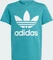 adidas Trefoil T-Shirt (Junior) Vorschaubild