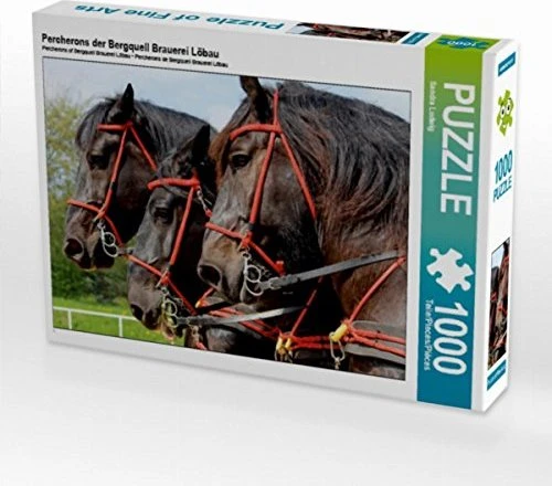 Calvendo Percherons der Bergquell Brauerei Löbau