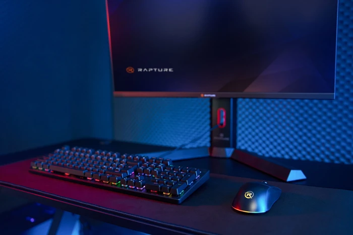 Rapture Cobra Wireless Gaming Maus schwarz, USB