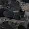 adidas Terrex Eastrail 3 core black/carbon/grey four (Herren) Vorschaubild